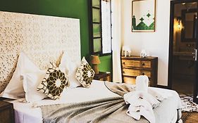 Riad New Moon